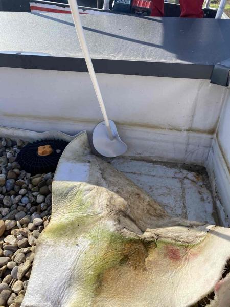 received1002155377716878